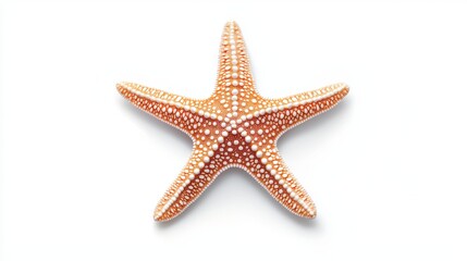 A close-up view of a beautiful starfish showcasing its intricate texture and delicate coloration, perfect for marine-themed projects and educational materials.