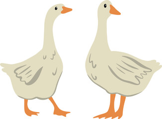 Geese in Livestock Farming and Breeding