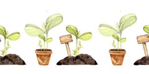seamless border with terracotta pot and green sprouts