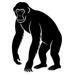 Gorilla, Chimpanzee, Orangutan  silhouette