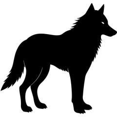 Wolf silhouette