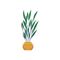 Vector illustration of a flower with green stems and leaves in a golden flower pot