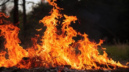 Fiery Inferno A Vivid Display of Embers and Flames Dancing in the Night