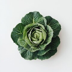 Obraz premium Fresh green cabbage with vibrant leaves showcasing organic farming excellence