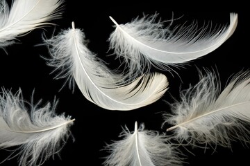 Obraz premium An array of delicate white feathers floats on a dark background, creating a serene and ethereal image.