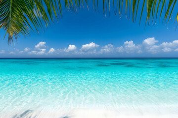 Fototapeta premium Tropical Beach Background Image