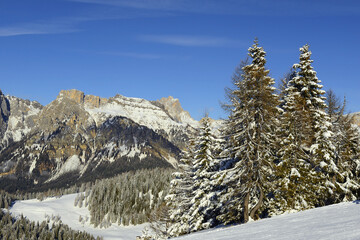 Dolomites, Italy, Civetta ski - Col dei Baldi in winter, view from the top