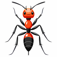 set of insects