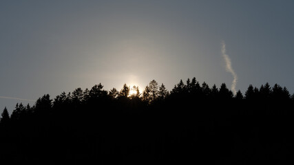 Sonnenaufgang hinter einer Waldsilhouette, friedliche Naturstimmung im Morgengrauen