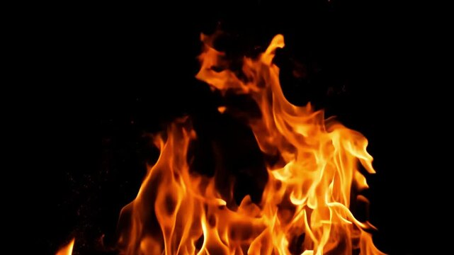 Burning flames rising on black background