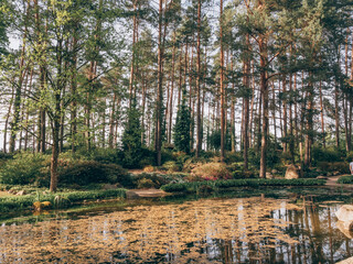 Fototapeta premium Beautiful botanical garden with a pond