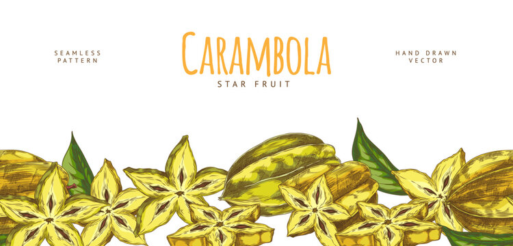 Vector seamless border with fruit carambola, made in sketch style, with yellow star-shaped fruits