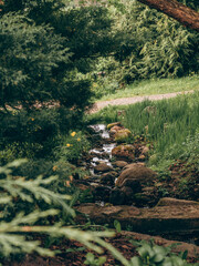 Little hand in a beautiful botanical garden