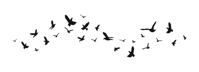 Vector Set Silhouette of a flock of flying birds
