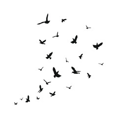 Vector Set Silhouette of a flock of flying birds