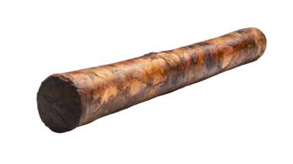 A long brown stick with a brown tip