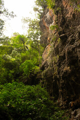Parede de Pedra Natural