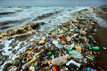 Polluted Beach Covered in Plastic Waste