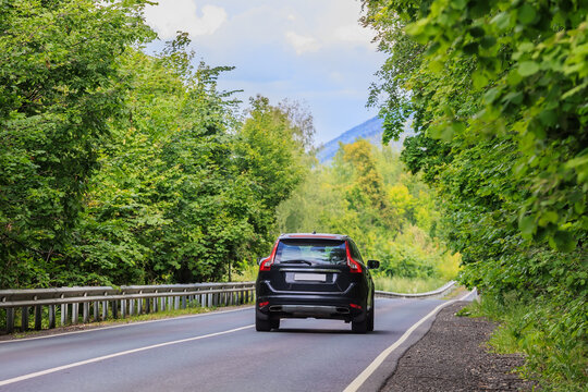 SUV driving along beautiful green forest
