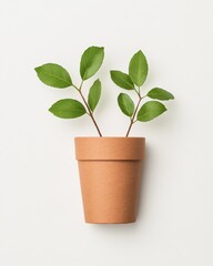 Obraz premium Minimalist Plant in Terracotta Pot Against White Background Modern Botanical Stock Image