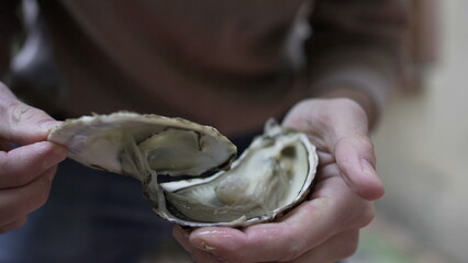 Opening oyster close-up with knife