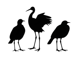 Fototapeta premium Birds silhouette white background 