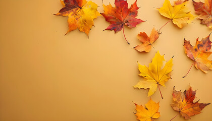 Fototapeta premium Autumn Maple Leaves on Warm Golden Background