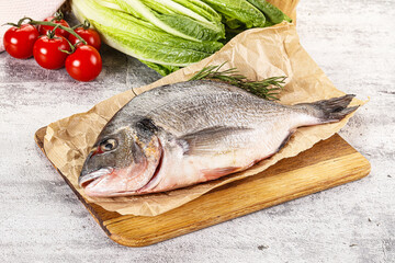 Raw dorada fish served rosemary