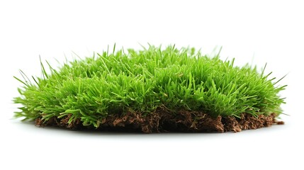 Lush Green Grass Tuft: A Vibrant Nature Close-up