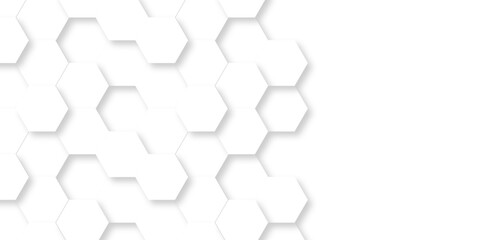 Fototapeta premium White Hexagonal Background. Luxury White Pattern. wallpaper Illustration. Futuristic abstract honeycomb mosaic white background. geometric mesh cell texture. modern futuristic wallpaper.