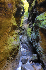 Mossbewachsen