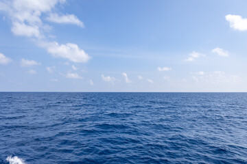 Fototapeta premium Pristine Sea View with Waves and Bright Blue Sky on Sunny Day