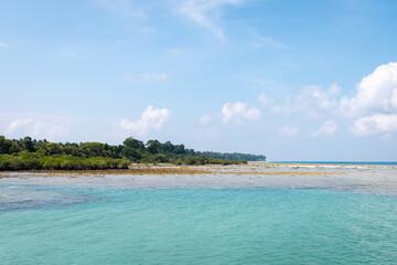 Blue Sea Coastline with Mangrove Forest Under Bright Sky