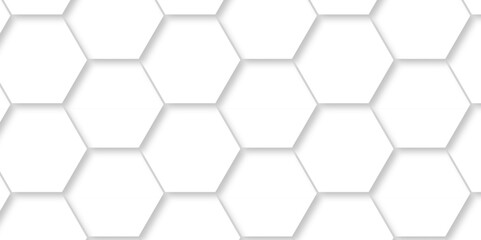 Vector white hexagonal background. Luxury White Pattern. wallpaper Illustration. Futuristic abstract honeycomb mosaic white background. geometric mesh cell texture. modern futuristic wallpaper.