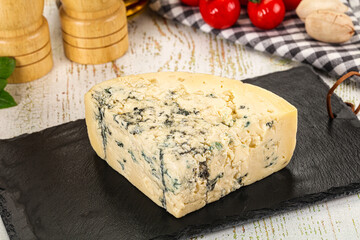 Gourmet blue cheese with mold