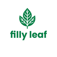 Fototapeta premium leaf logo for a eco frindly company