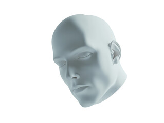 Isolated White 3D Render Head