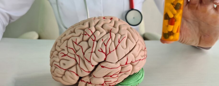 Nocebo effect doctor holds model of brain and pill with placebo supplement.