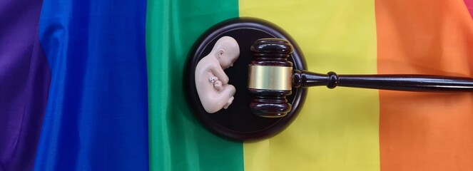 Child in homosexual family. Adoption or adoption or surrogate motherhood in a samesex family