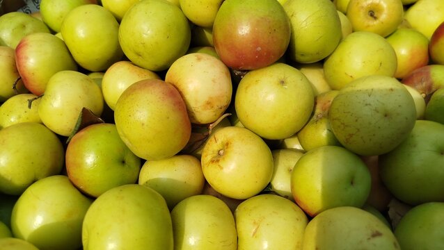 green jujube fruits in markets