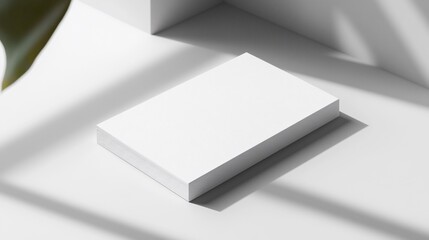Blank product mockup, white box on podium, botanical shadow play, interior design