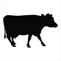silhouette of a cow