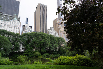 Fototapeta premium Beautiful view of buildings in New York City from Central Park 