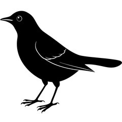 Black bird silhouette vector illustration
