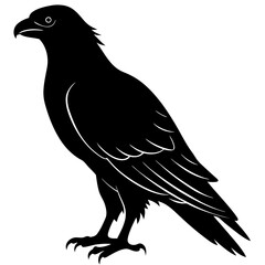 Buzzard  silhouette vector illustration
