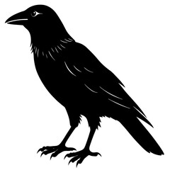 Crow  silhouette vector illustration