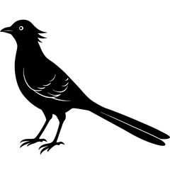 Cuckoo  silhouette vector illustration
