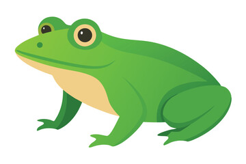 Green Frog Cartoon on Lily Pad
