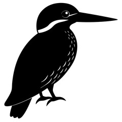 Kingfisher silhouette vector illustration