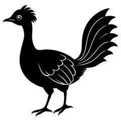 Fototapeta premium Lyrebird silhouette vector illustration